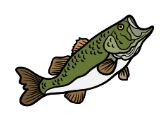 OHEC Helps You Go Fishing